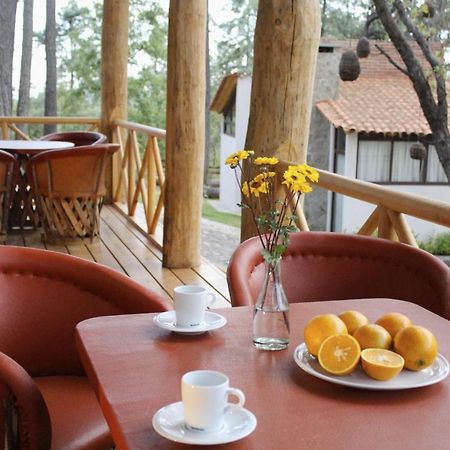 Cabanas La Vid Del Bosque Hotel Tapalpa Ngoại thất bức ảnh