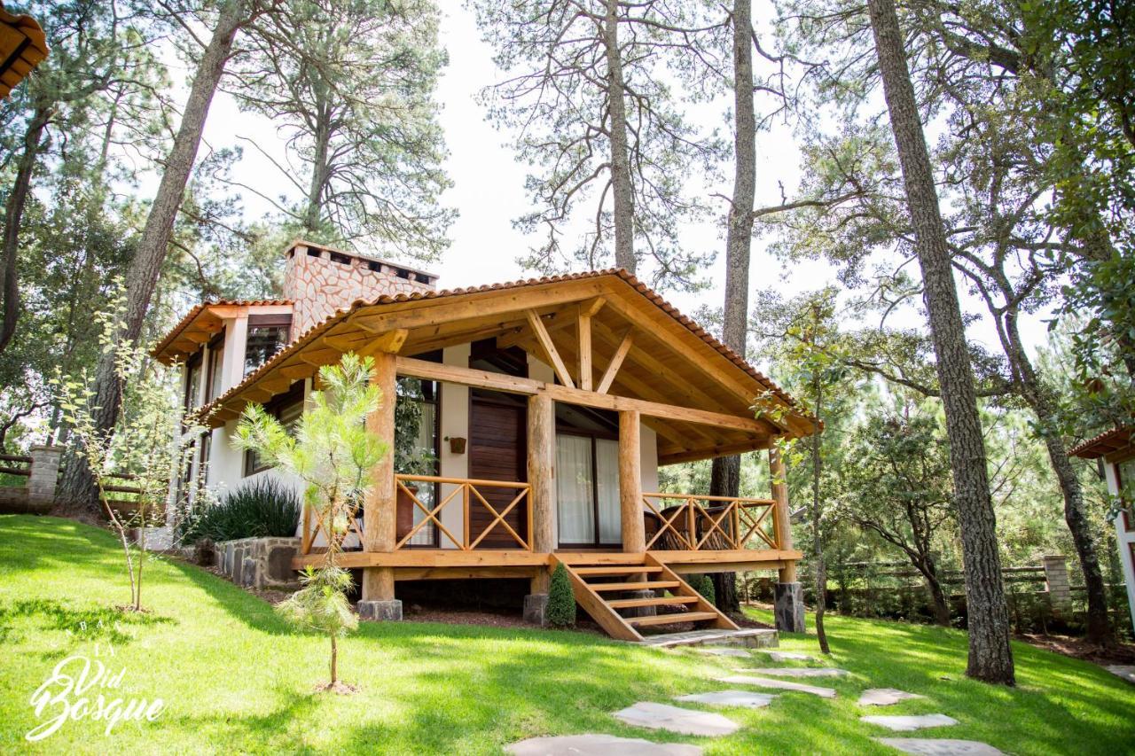Cabanas La Vid Del Bosque Hotel Tapalpa Ngoại thất bức ảnh