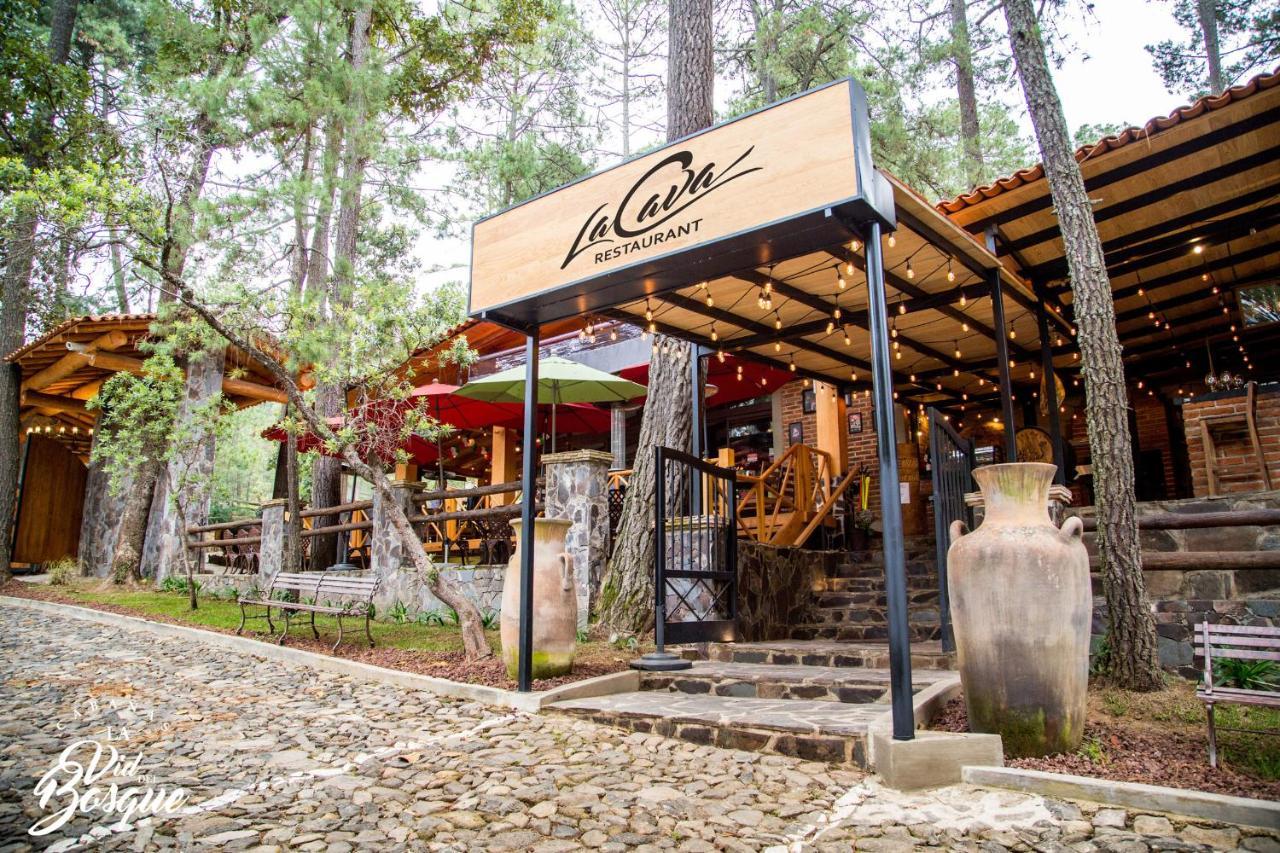 Cabanas La Vid Del Bosque Hotel Tapalpa Ngoại thất bức ảnh