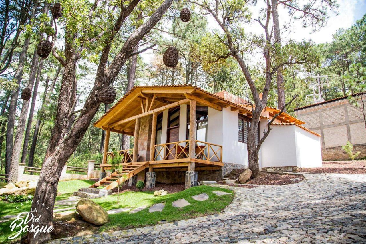Cabanas La Vid Del Bosque Hotel Tapalpa Ngoại thất bức ảnh