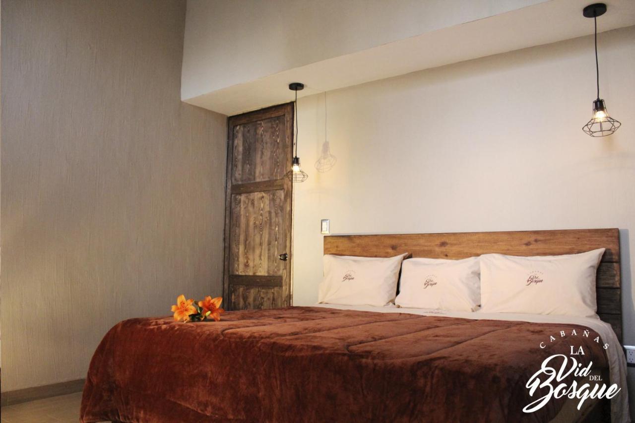 Cabanas La Vid Del Bosque Hotel Tapalpa Ngoại thất bức ảnh