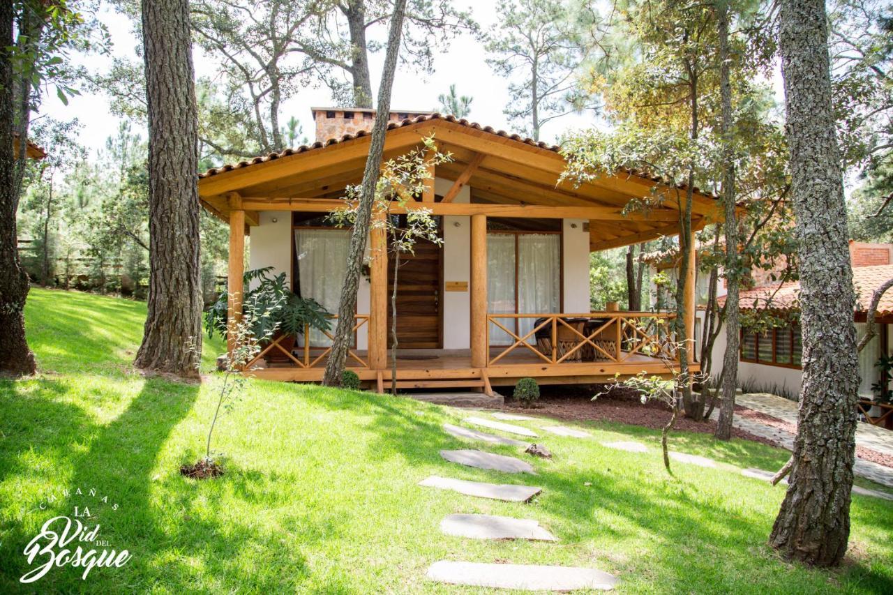 Cabanas La Vid Del Bosque Hotel Tapalpa Ngoại thất bức ảnh