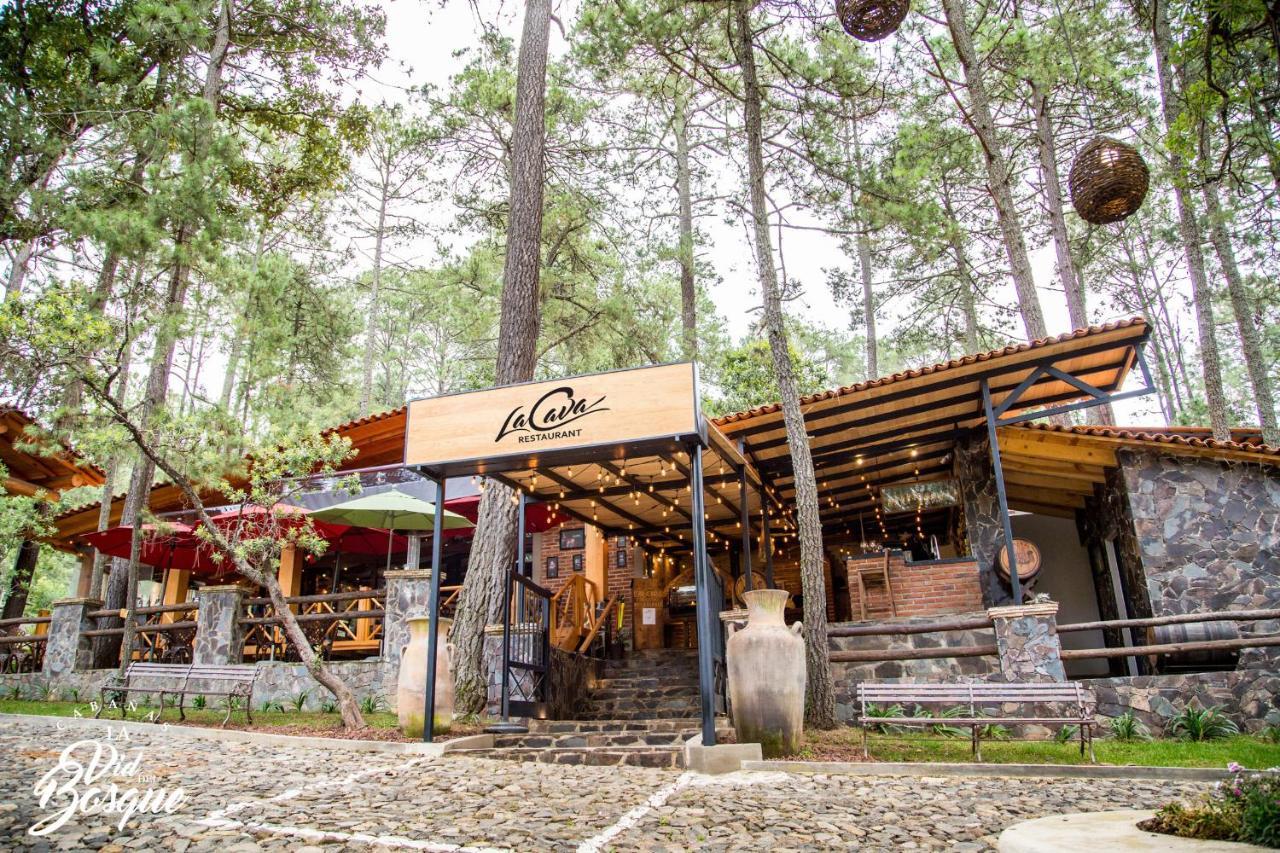 Cabanas La Vid Del Bosque Hotel Tapalpa Ngoại thất bức ảnh