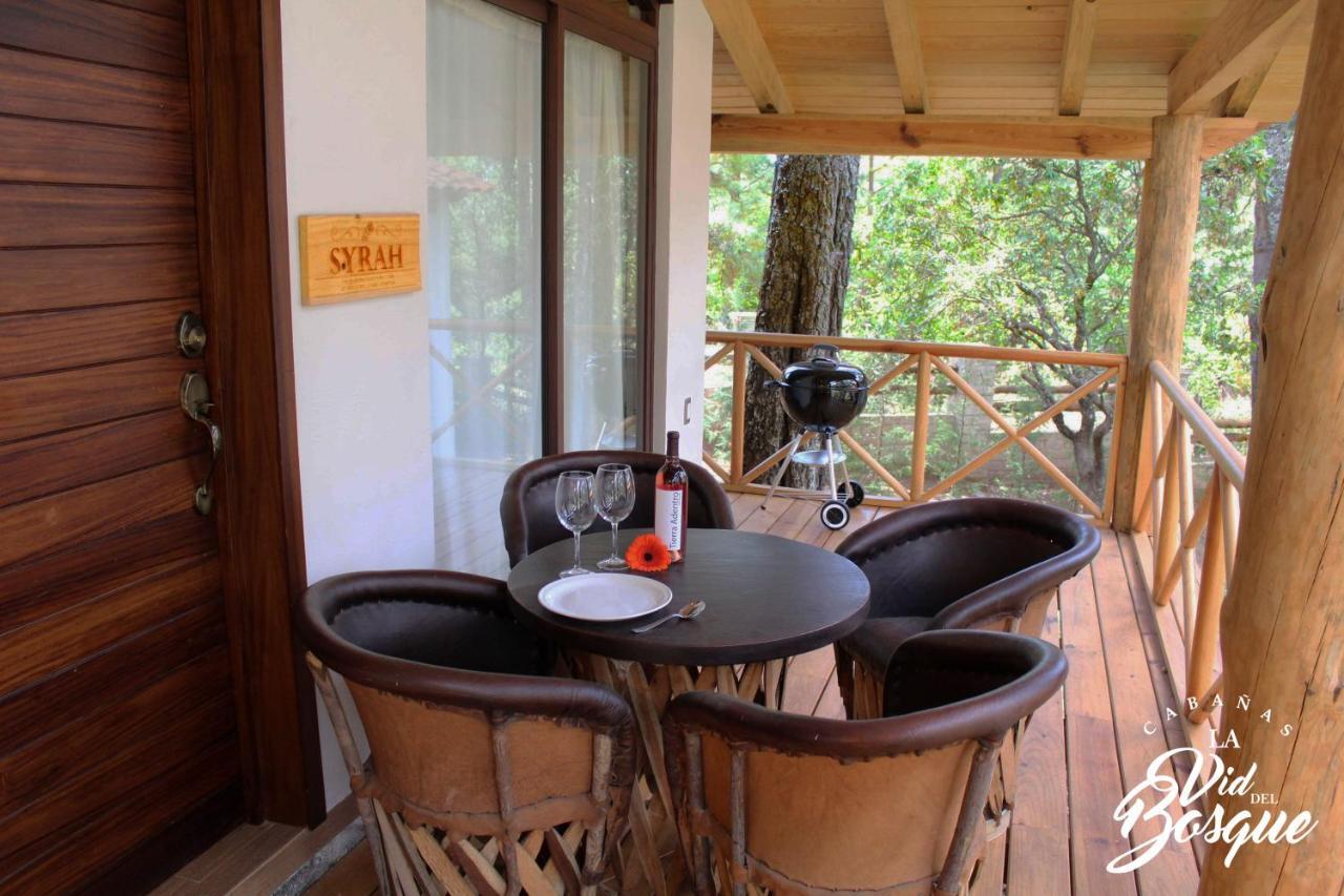 Cabanas La Vid Del Bosque Hotel Tapalpa Ngoại thất bức ảnh