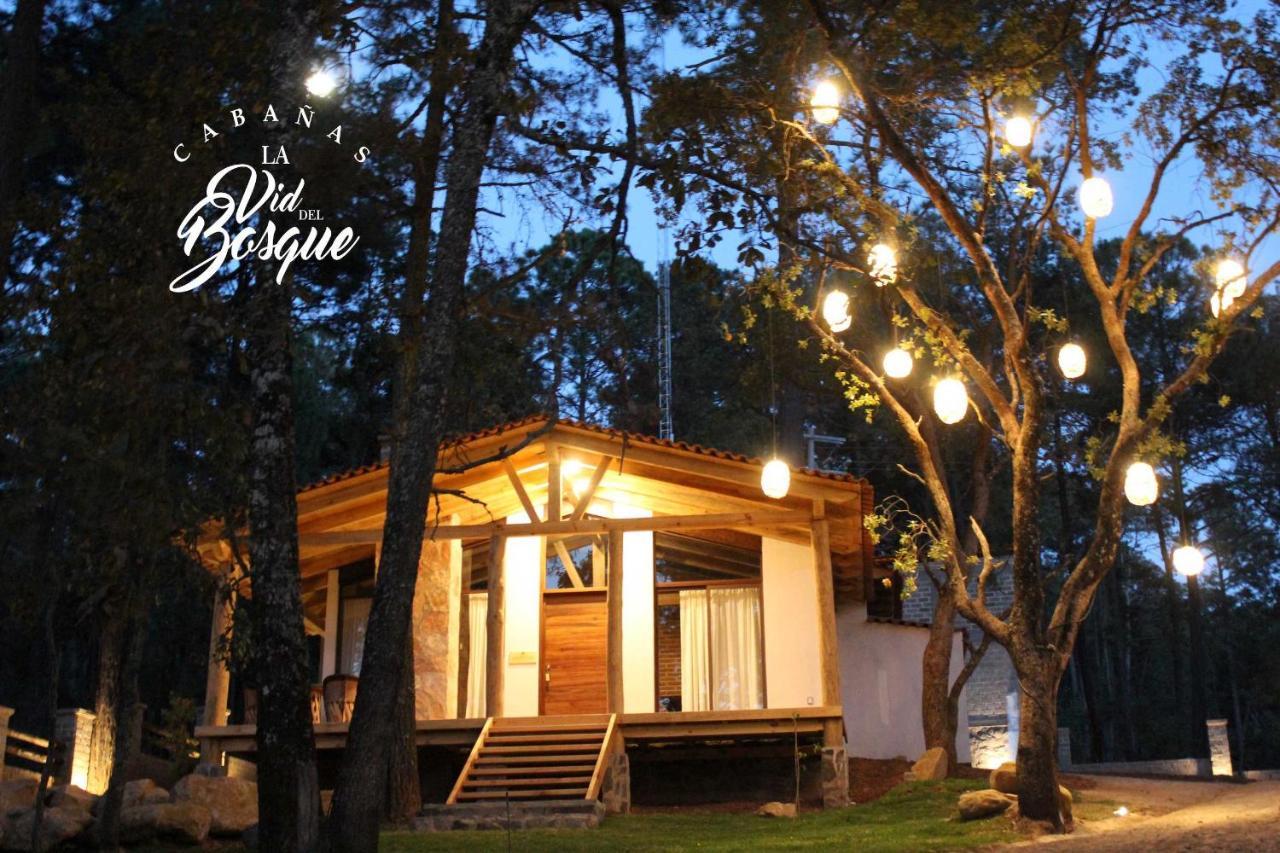 Cabanas La Vid Del Bosque Hotel Tapalpa Ngoại thất bức ảnh