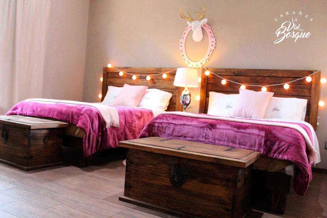 Cabanas La Vid Del Bosque Hotel Tapalpa Ngoại thất bức ảnh