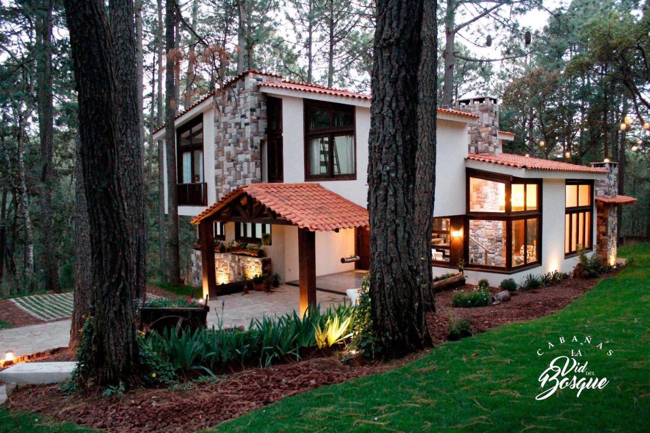 Cabanas La Vid Del Bosque Hotel Tapalpa Ngoại thất bức ảnh