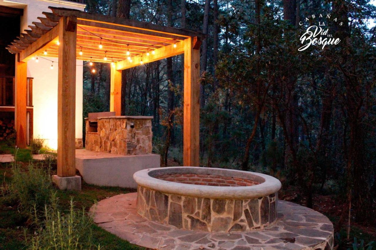 Cabanas La Vid Del Bosque Hotel Tapalpa Ngoại thất bức ảnh
