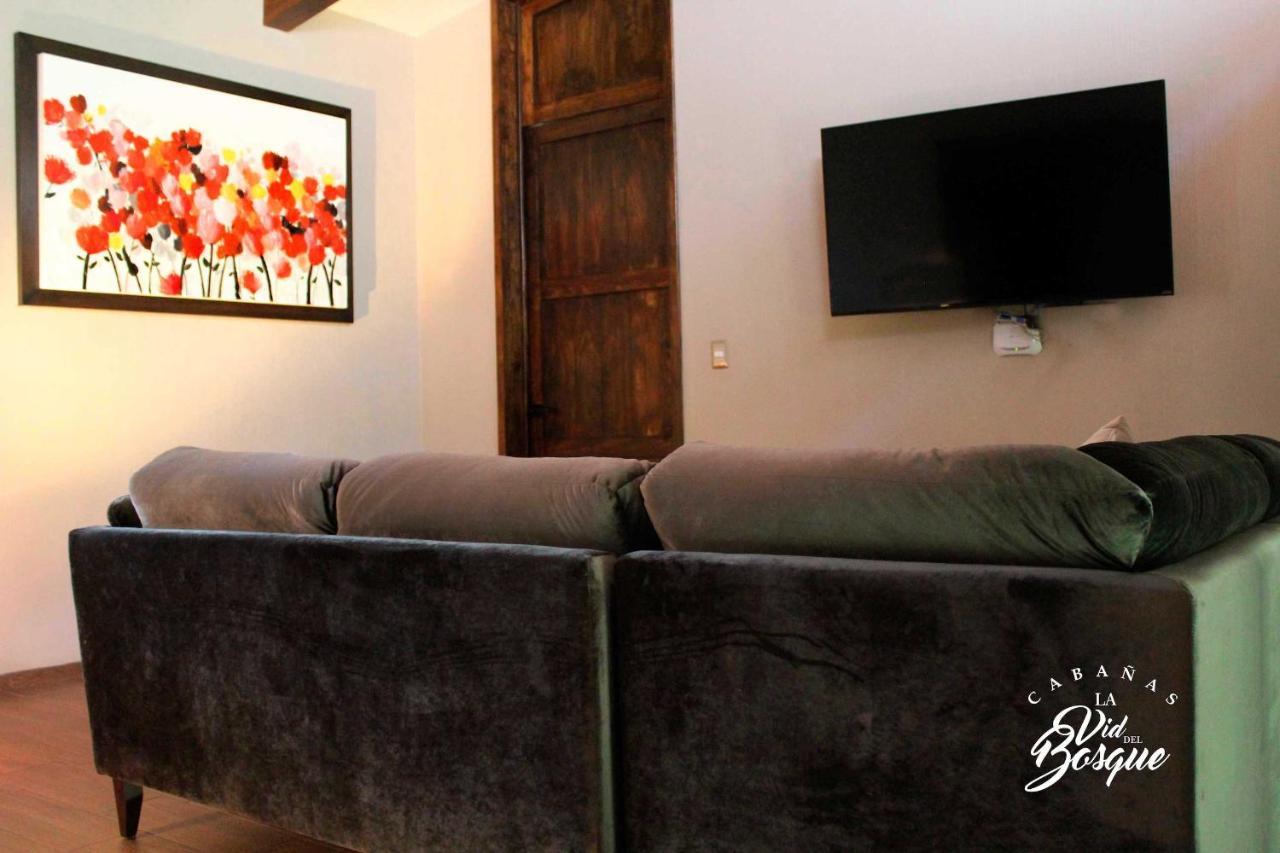 Cabanas La Vid Del Bosque Hotel Tapalpa Ngoại thất bức ảnh