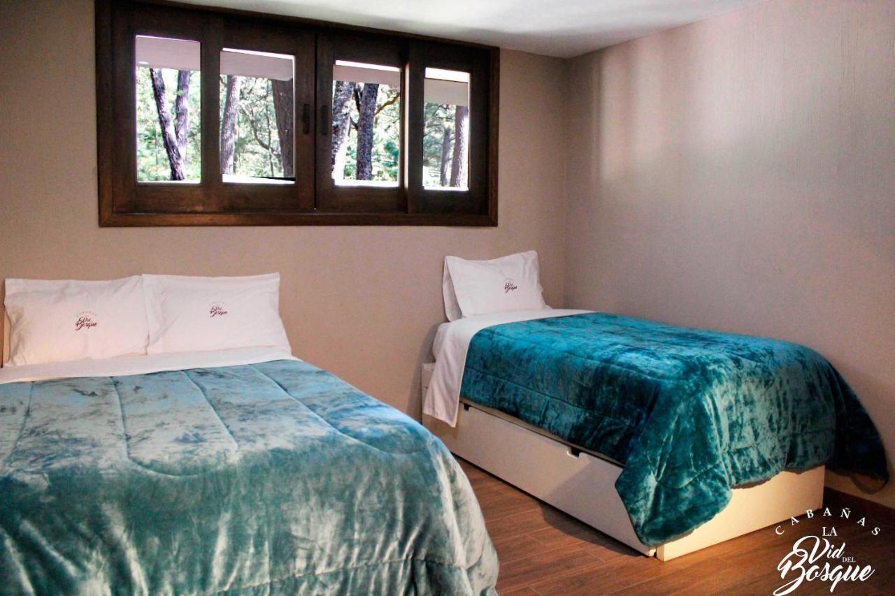 Cabanas La Vid Del Bosque Hotel Tapalpa Ngoại thất bức ảnh