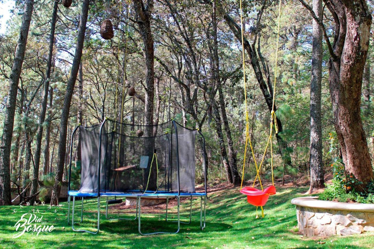 Cabanas La Vid Del Bosque Hotel Tapalpa Ngoại thất bức ảnh