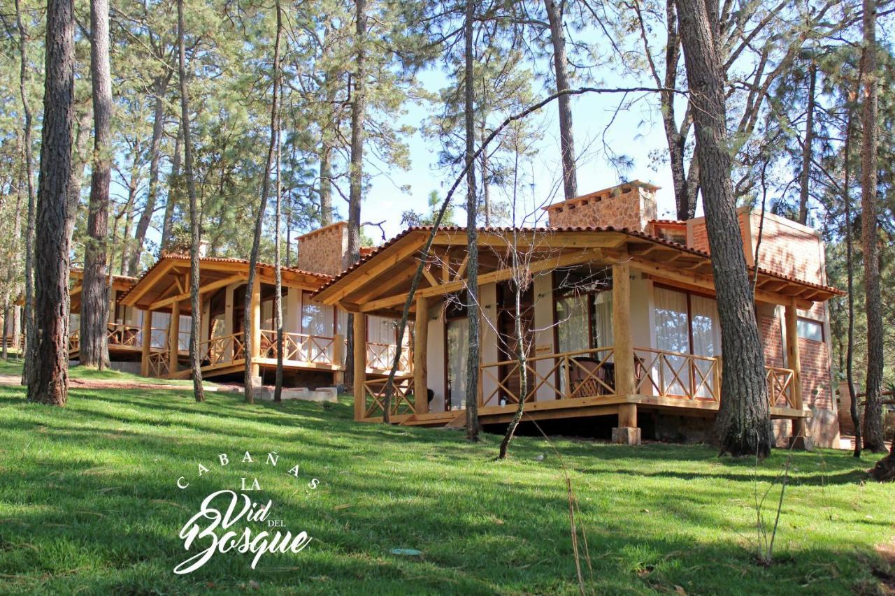 Cabanas La Vid Del Bosque Hotel Tapalpa Ngoại thất bức ảnh