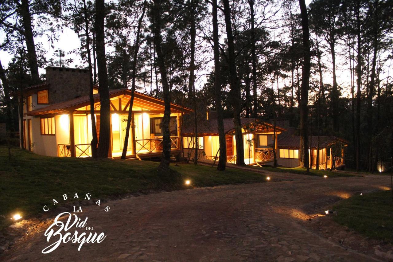 Cabanas La Vid Del Bosque Hotel Tapalpa Ngoại thất bức ảnh