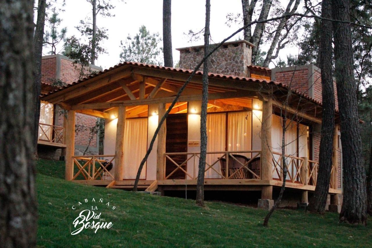 Cabanas La Vid Del Bosque Hotel Tapalpa Ngoại thất bức ảnh